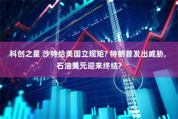 科创之星 沙特给美国立规矩? 特朗普发出威胁, 石油美元迎来终结?