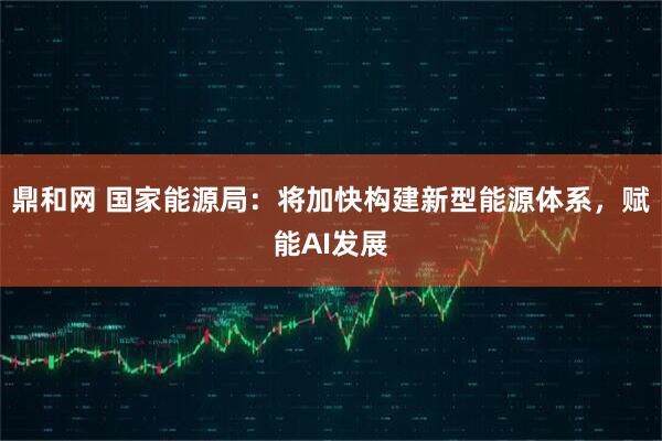 鼎和网 国家能源局：将加快构建新型能源体系，赋能AI发展